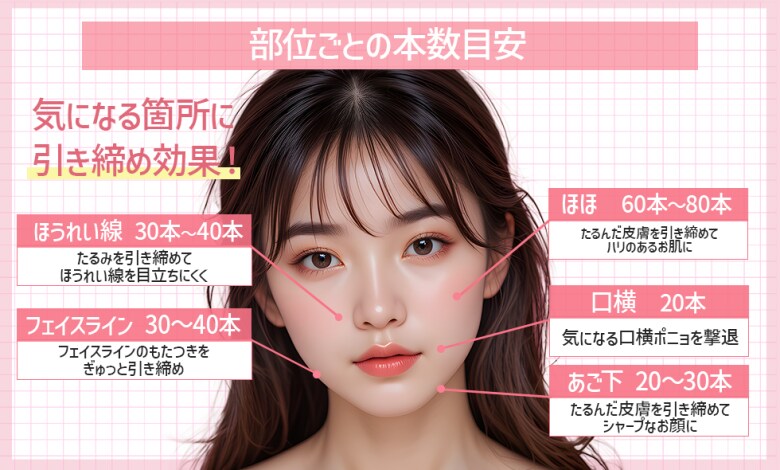 部位ごとのおすすめ本数はこちら