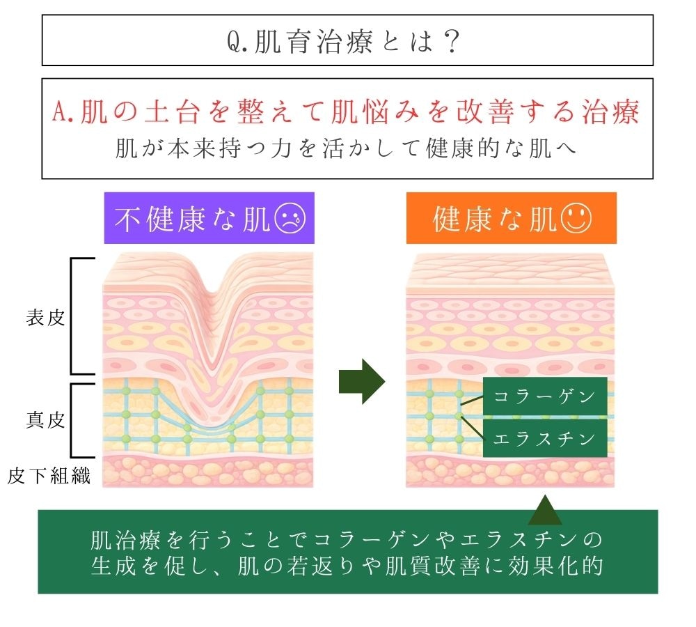 SNSでもよく見かける肌育とは…