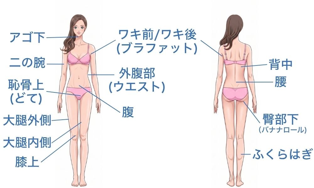 適応箇所はこちら