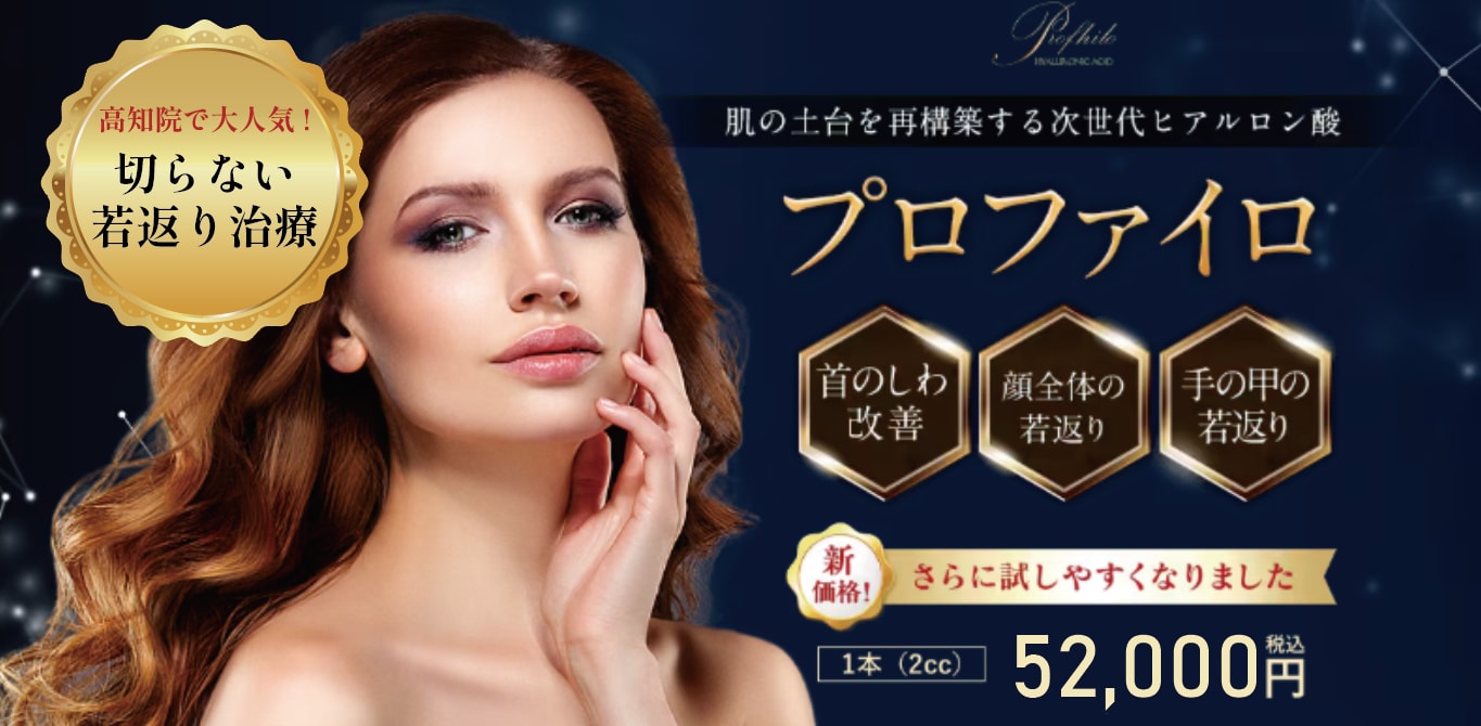 価格改定①プロファイロ