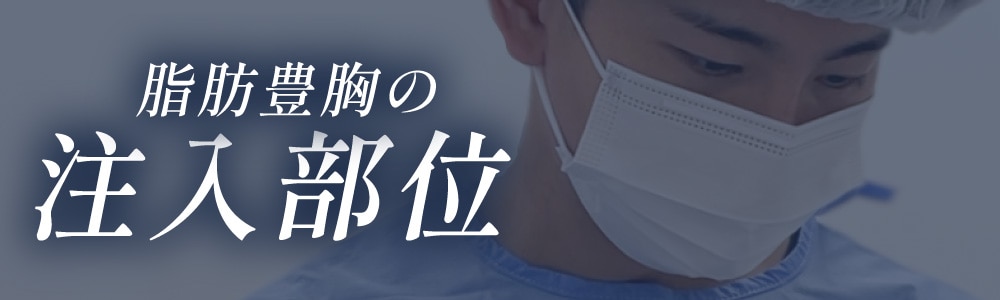 脂肪豊胸の【注入部位】