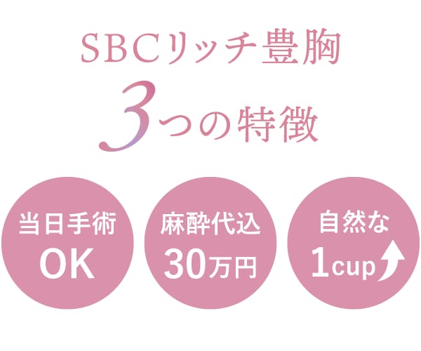 手軽に叶うみんなが求めた脂肪注入豊胸