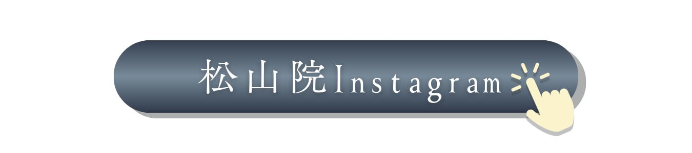 インスタボタン