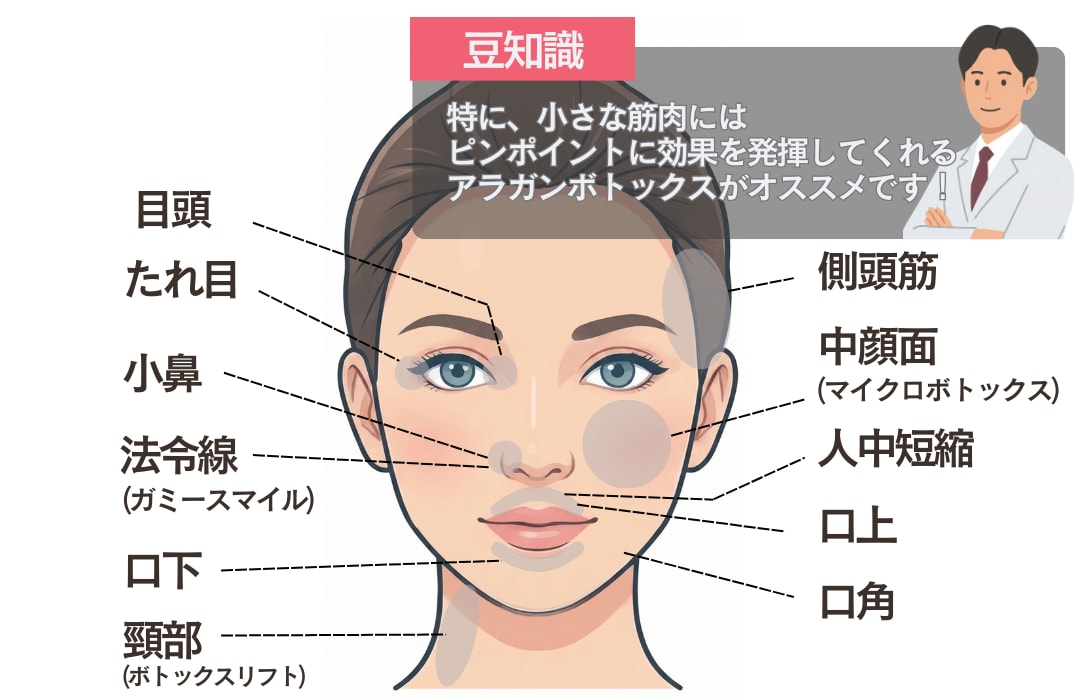 特殊部位