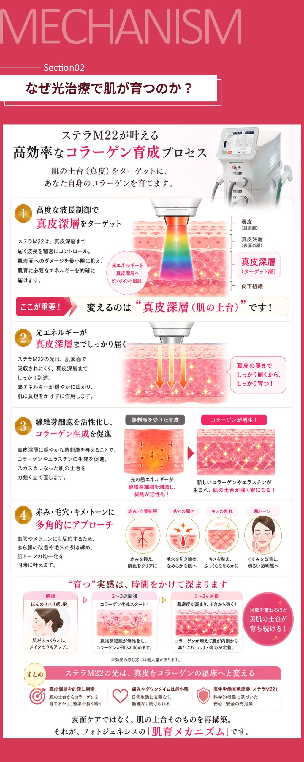 ステラM22が選ばれる理由 