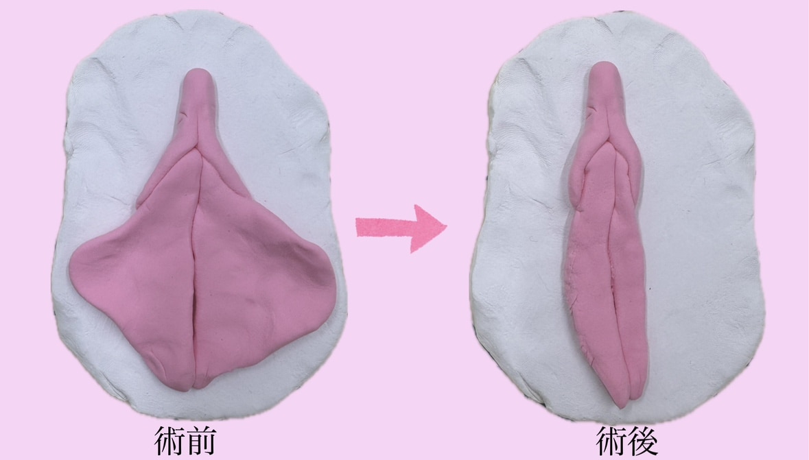 れいな先生自作の粘土模型です♡