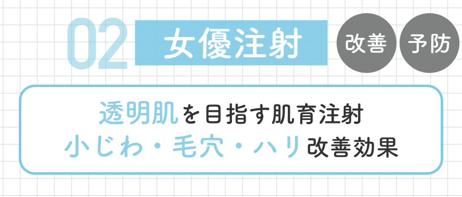 《シワ予防・改善》<br />
女優注射