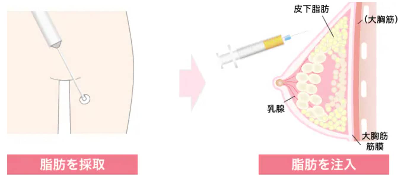 特徴