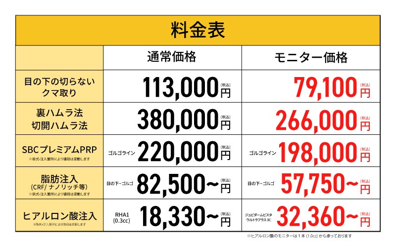料金概要（税込）
