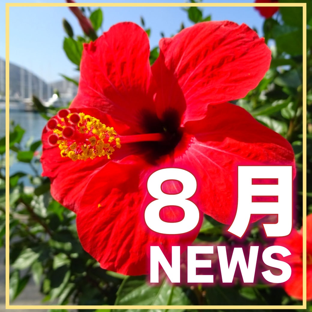【8月】夏本番！キャンペーン終了間近！お急ぎください！