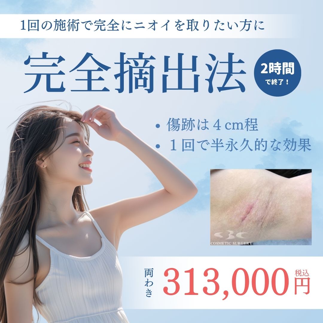 313,000円(税込)~