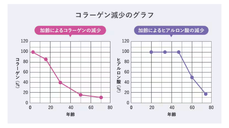<b>加齢で失われたコラーゲンの再生・促進</b>