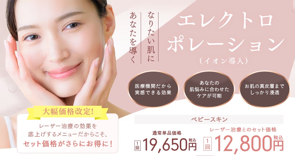 エレクトロポレーション（イオン導入）