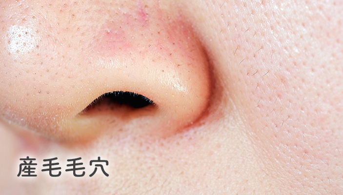 産毛による毛穴