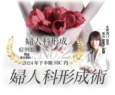 【指名多数！】大宮で婦人科形成といえば完山依里子医師！豊富な経験を持つベテラン女医が叶える理想の仕上がり