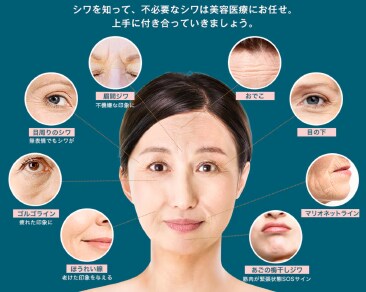 しわには、大きく分けて小ジワ、大ジワ（構造ジワ）、 表情ジワの3種類があります。