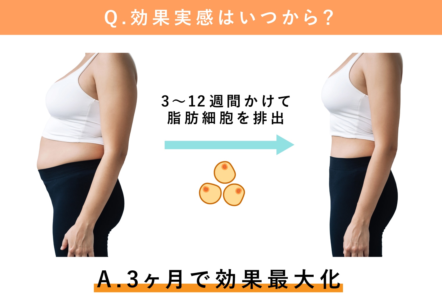 効果の最大化は3ヶ月後