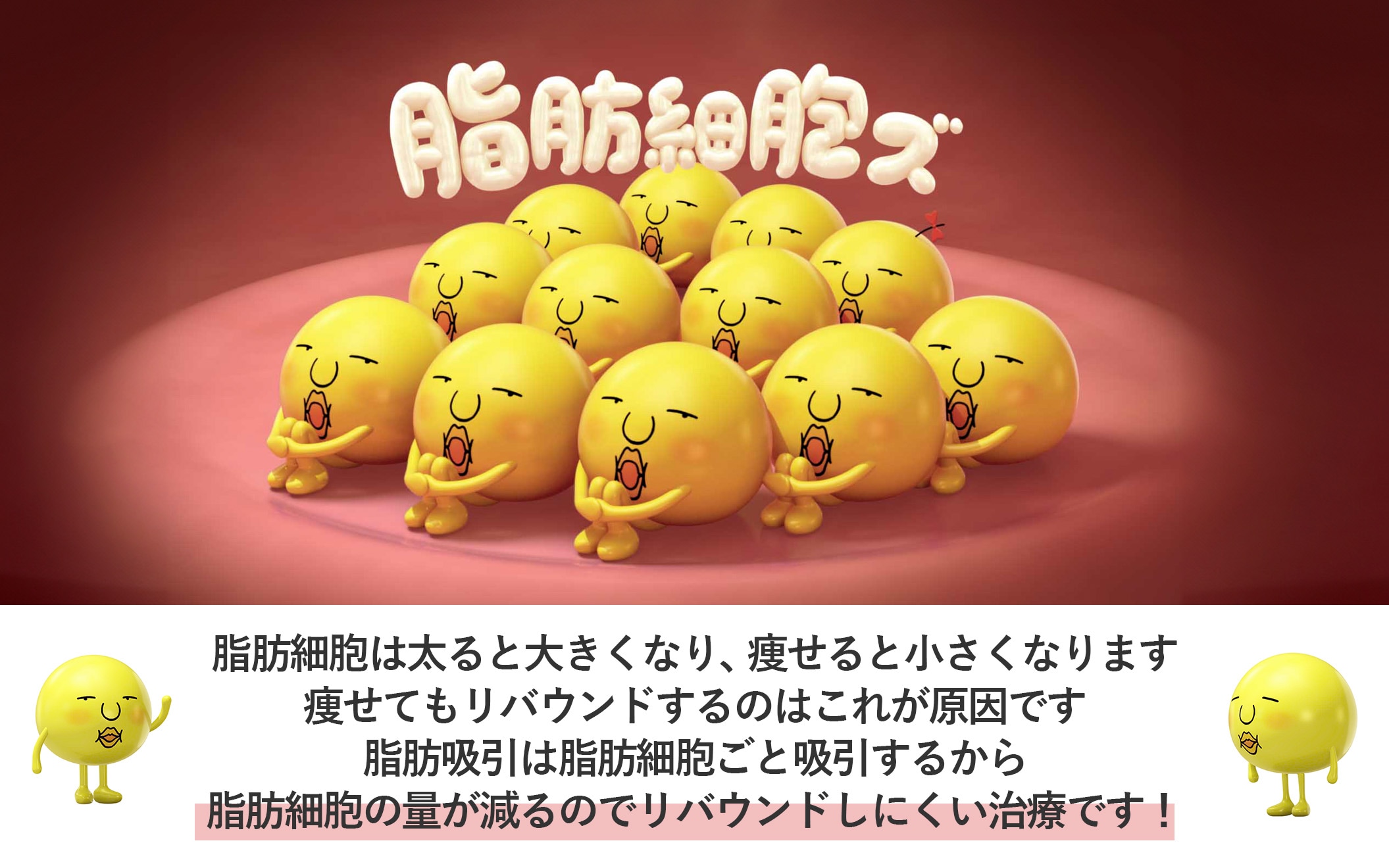 脂肪吸引のしくみ