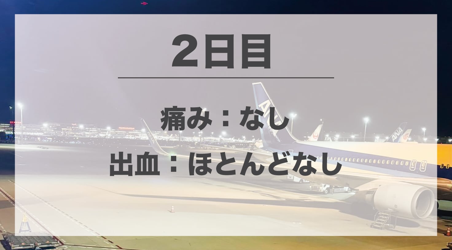 2日目<br />
