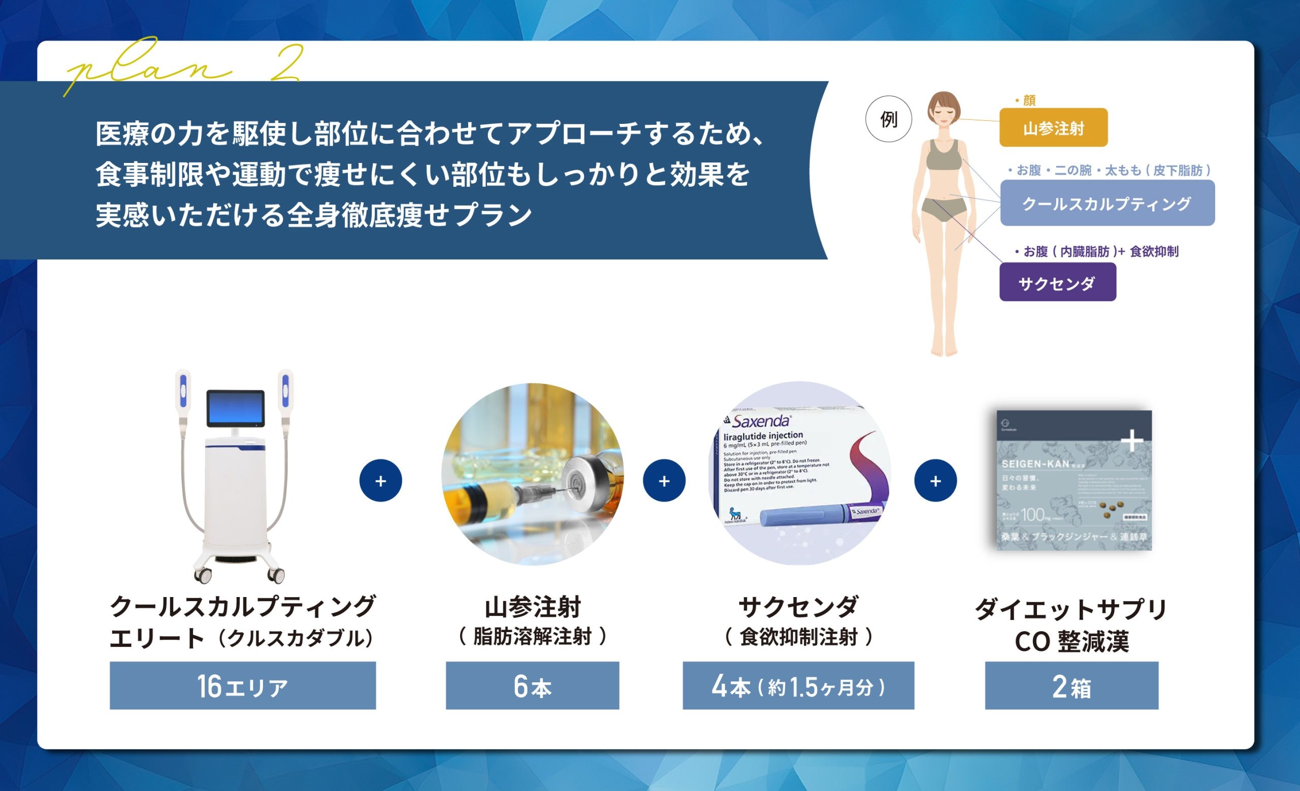 全身本気痩せプラン