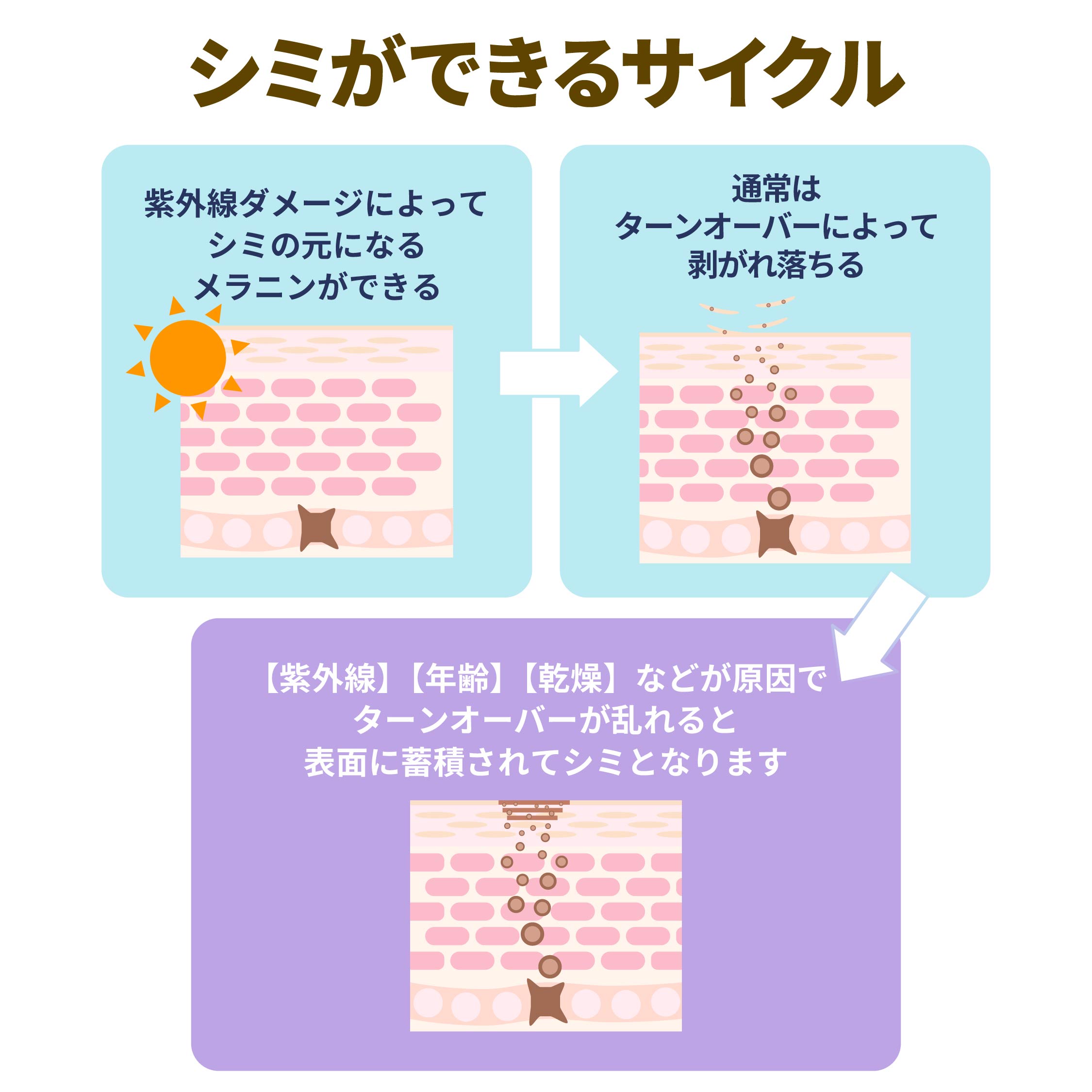 シミができるサイクルをご紹介します！