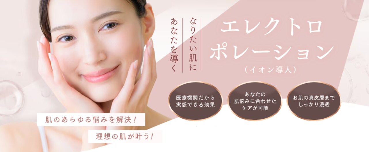 エレクトロポレーションとは