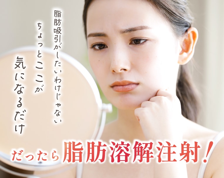 ちょっと脂肪をなくしたい方への選択肢