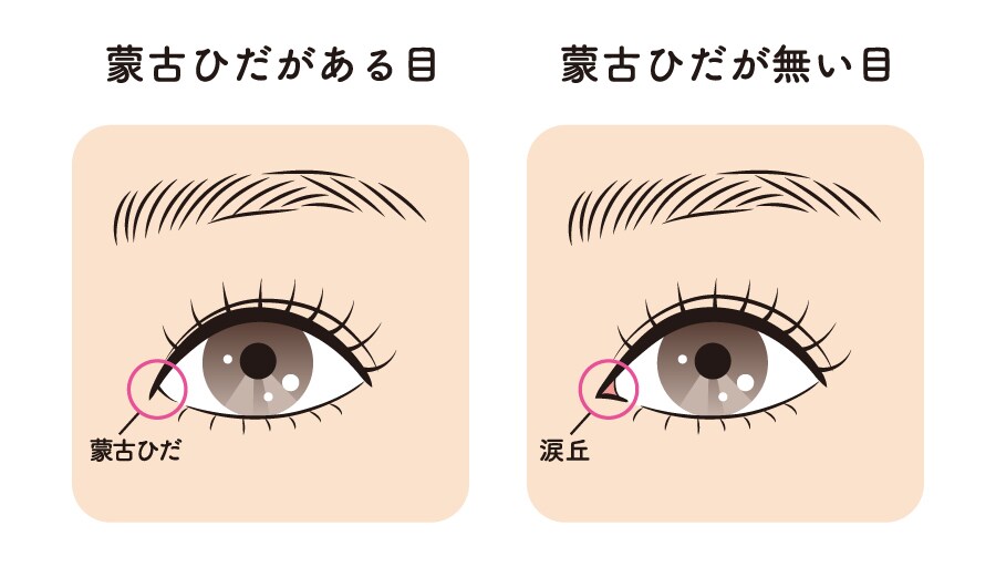 目と目の距離を整える