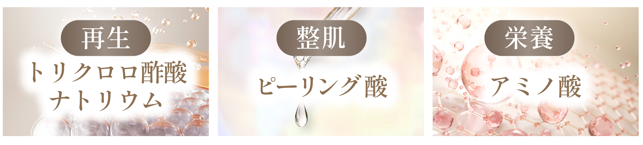 主な成分と期待できる効果