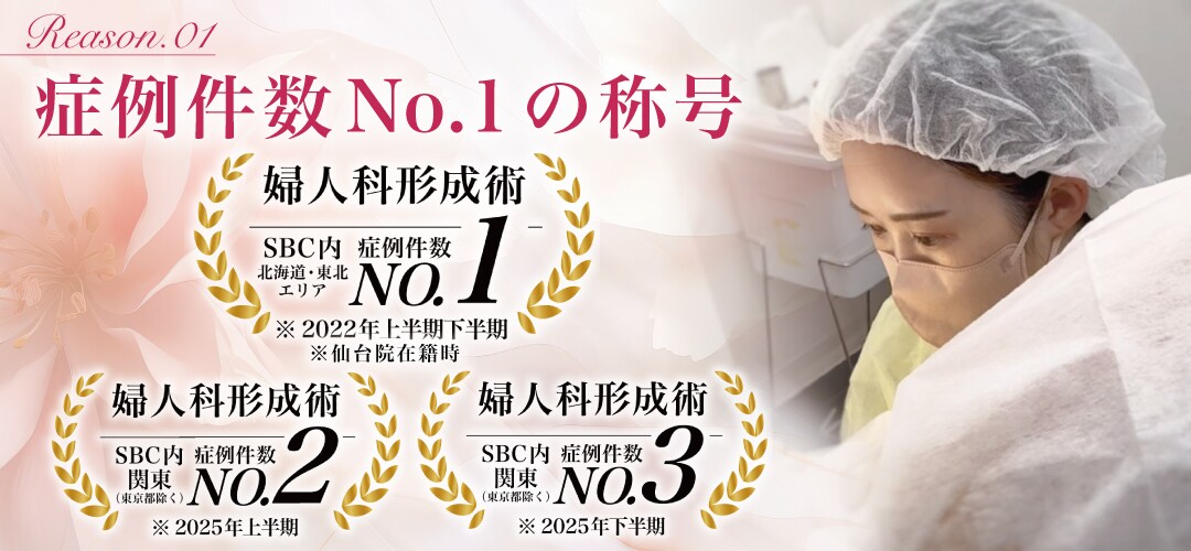 症例件数No.1の称号