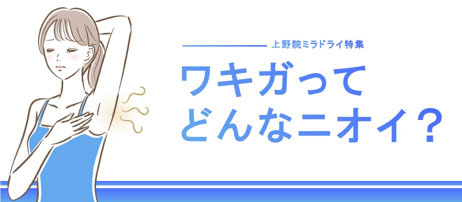 ワキガってどんなニオイ？✨