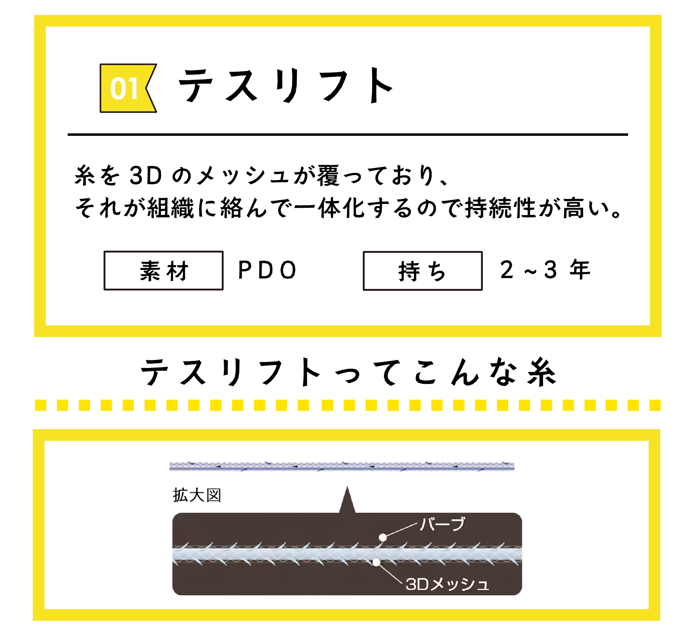 テスリフトの適正本数 🏋️‍♀️