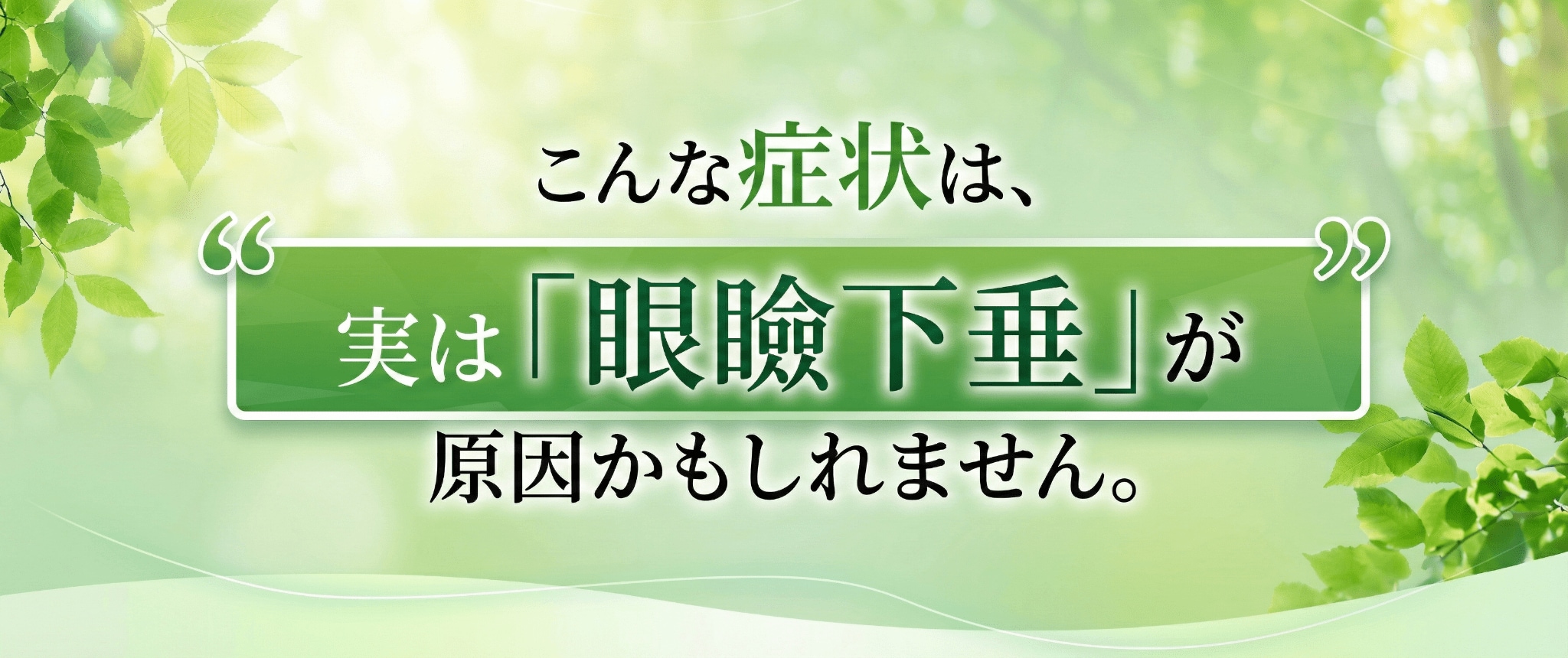 真崎式