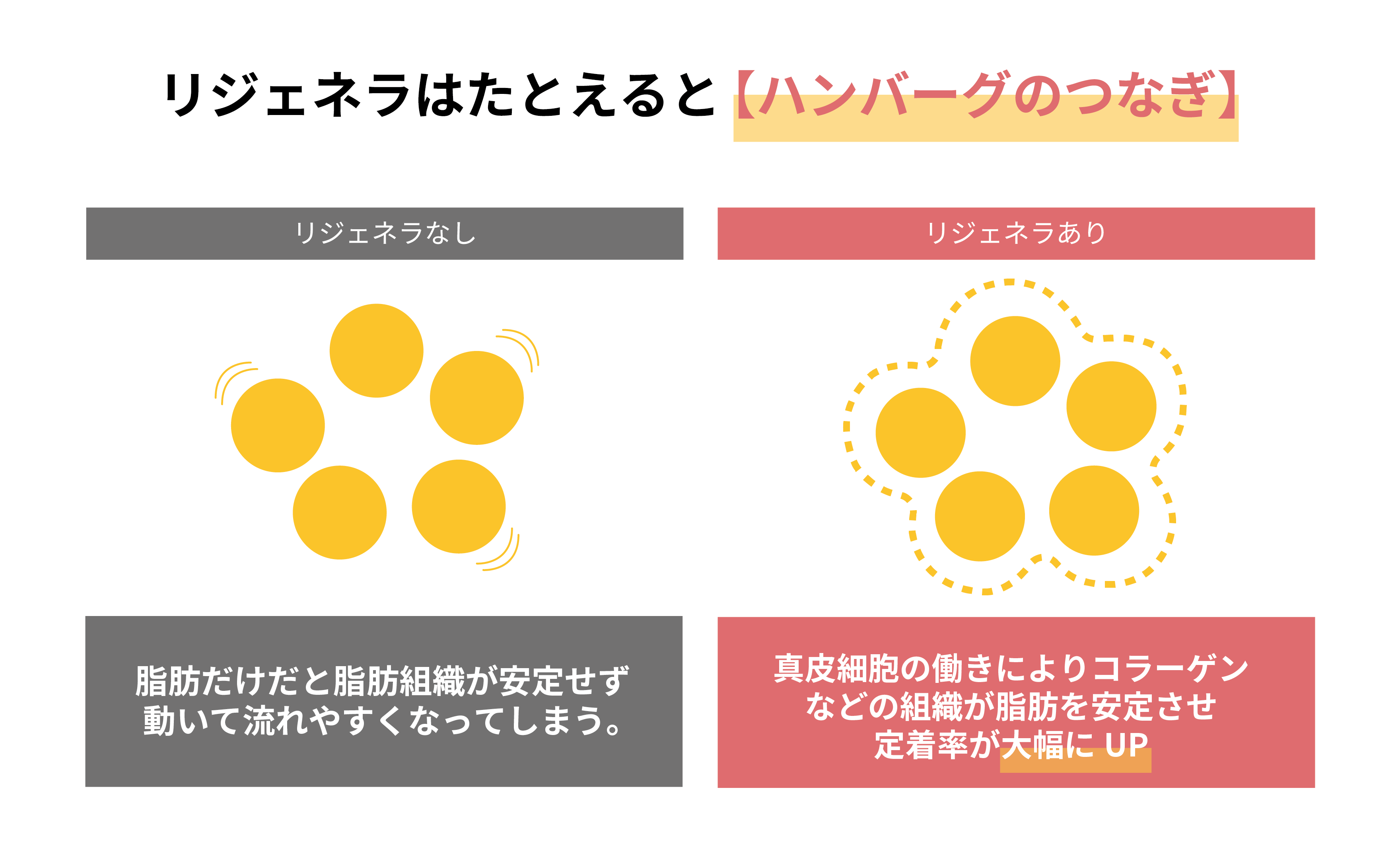 リジェネラはハンバーグのつなぎのようなもの？