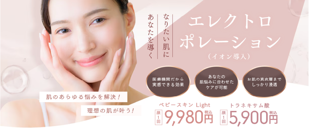 エレクトロポレーション