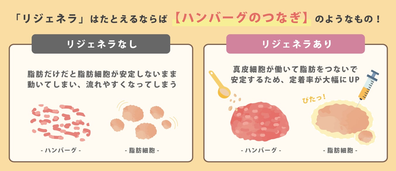 リジェネラは「◯◯」の役割！？