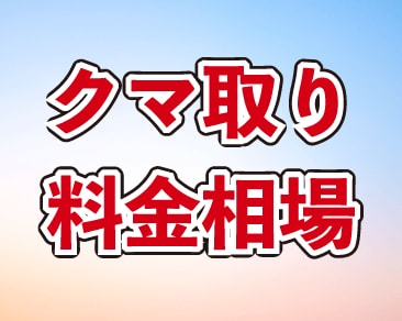 【目の下のクマ】一般的なクマ治療の料金相場って？高額な見積もりされない？＜横浜・神奈川エリアのクマ取り＞