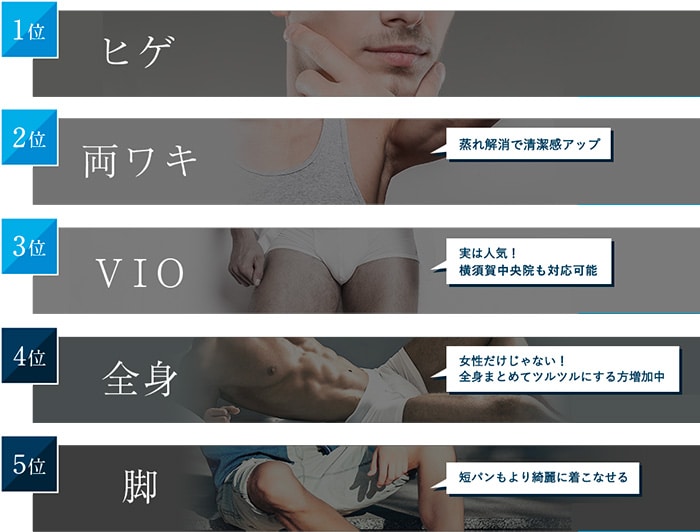 人気部位ランキング