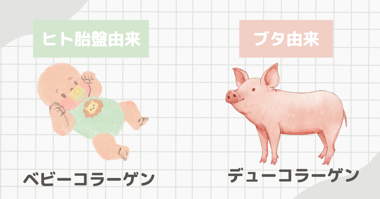 ベビーコラーゲンとデューコラーゲンの製剤由来の違い