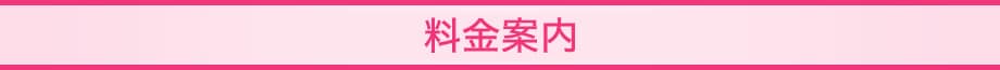 料金案内タイトル