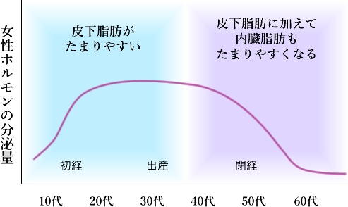 女性ホルモンの分泌量