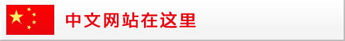 中文
